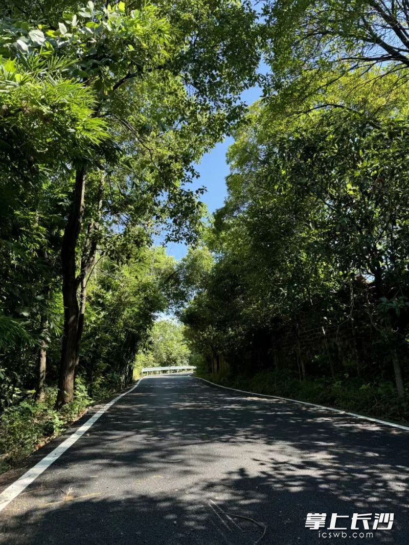 历时48天，崭新的道路已正式竣工通车。 均为 长沙晚报通讯员 吴祎玮 摄