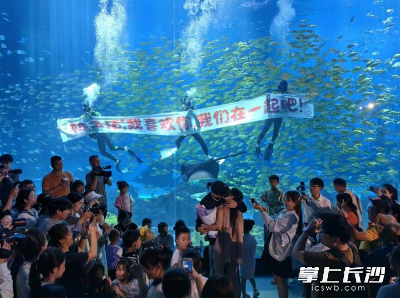 现场上演浪漫告白。
