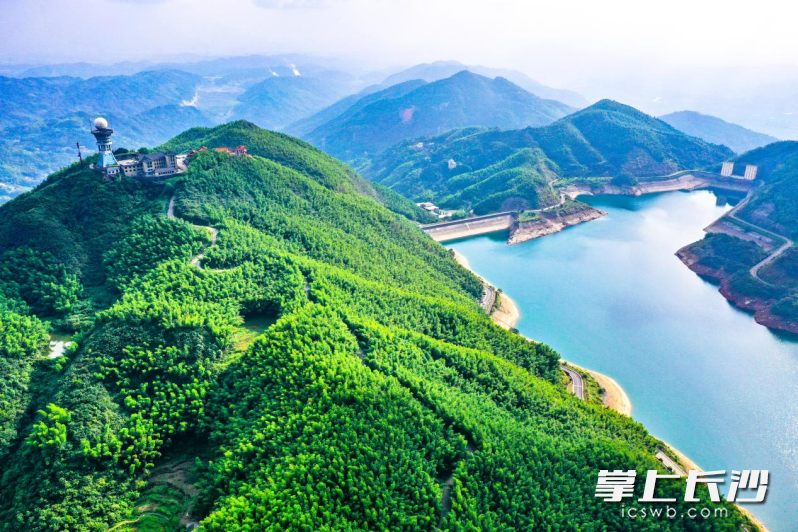 黑麋峰夏天平均气温比市区低5～6℃，是天然的避暑胜地。