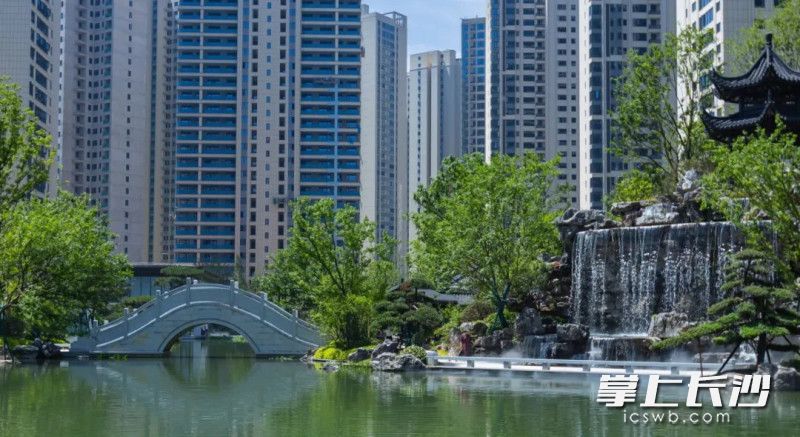 项目园林实景