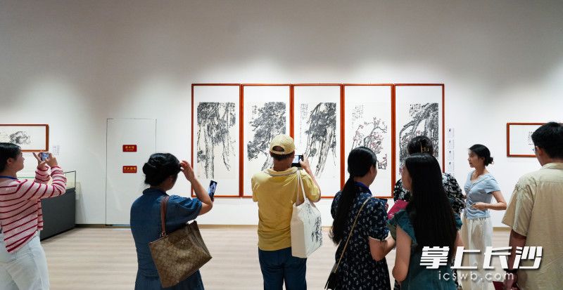 8月17日，“画意初心 墨韵乡愁——苏高宇作品展”在湖南博物院开幕，为长沙带来一股清新俊逸的写意之风。均为长沙晚报全媒体记者 邹麟 摄