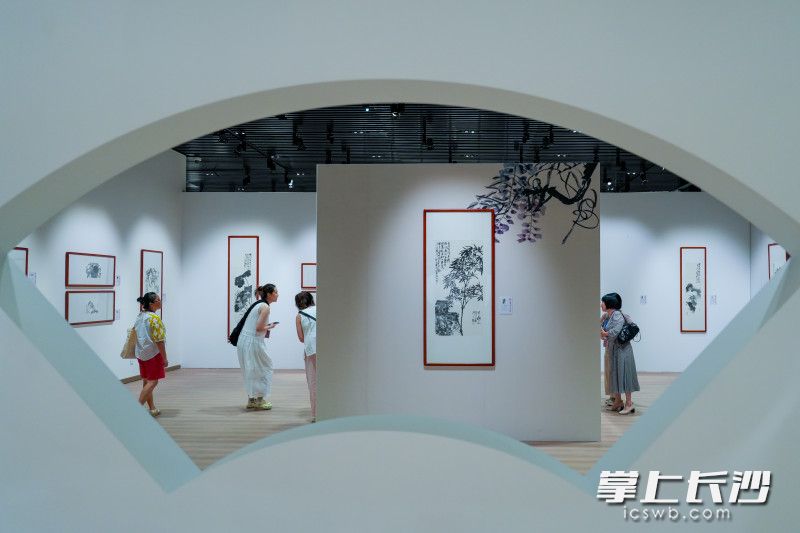 书画爱好者正在展厅观展。