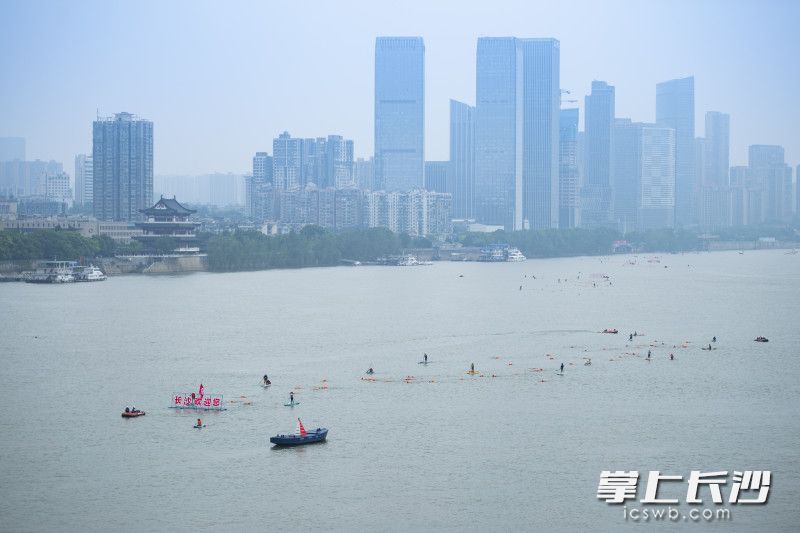 2024长沙横渡湘江畅游活动在文津码头拉开帷幕。均为长沙晚报全媒体记者 黄启晴 邹麟 郭雨滴 邓迪 刘晓敏 摄影报道 