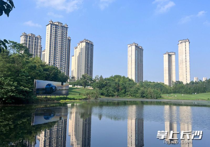 实景图
