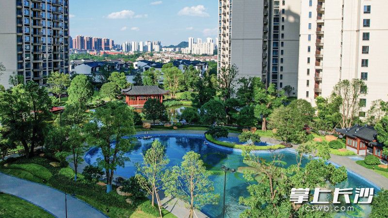项目实景图。均为项目方供图